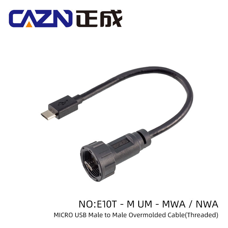 Mâle à type c mâle