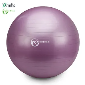 Zhen sheng benutzer definierte gedruckte Farbe Yoga Ball Gymnastik ball mit Logo