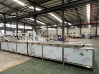 Fruit- en zeewierfrietjes, diepvriesgroenten en fruit was- en continu blancheringsmachine voor groenten