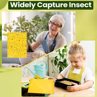 Piège à colle jaune pour jardin agricole, intérieur et extérieur, serres, piège à insectes volants