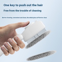 Brosse de toilettage pour animaux de compagnie avec fonction d'éclairage, poignée ergonomique, peigne autonettoyant, élimine les poils emmêlés, accessoire de toilettage pour chat et chien