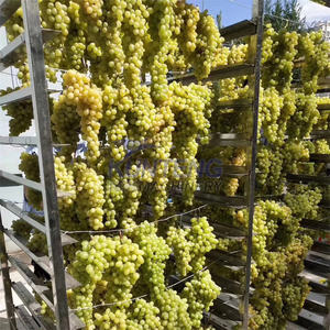 Máquina secadora deshidratadora industrial comercial de 1000kg para alimentación granulada <span class=keywords><strong>Taibo</strong></span> Date Baobab Tortilla Uva Algas marinas secas - Product Image 3