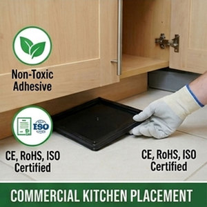 Trampa para Ratones de Plástico con Pegamento - Product Image 2