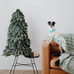 Profession eller Haustier-Erholungs anzug für Hunde Katzen Chirurgie Shirt Bauch wunden Bandagen Haustier kleidung - Product Image 5