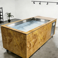 Refroidisseur de Bain de Glace en Acier Inoxydable de Haute Qualité, Écologique, pour Thérapie par le Froid, avec Stérilisation à l'Ozone WIFI Intelligente et Pompe à Vanne 1hp 2
