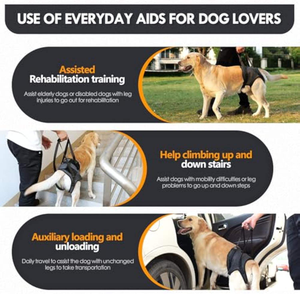 Dog Hind Leg Support <b>Harness</b> Solid XL Polyester Material Comfortable Traction Belt for Injured Elderly Dogs Rehabilitation - Product Image 6