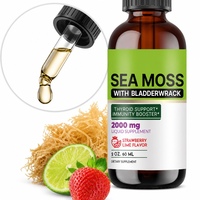 YanNI  Tetes Cairan Sea Moss dengan Bladderwrack 2000mg Rasa Strawberry Lime Mineral Esensial Grosir OEM ODM