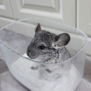 Sable de bain biodégradable 100 % naturel et écologique Dongnai PETS pour hamsters et chinchillas, parfum lavande, jetable dans les toilettes - Product Image 3