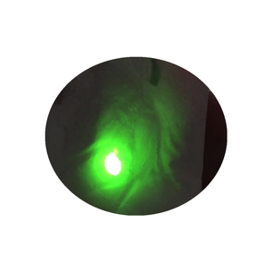 Pigment d'excitation infrarouge à conversion ascendante IR980 en poudre - Product Image 1