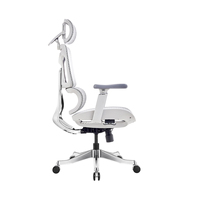 Chaise de bureau moderne en nylon maillé avec soutien lombaire dynamique, accoudoirs rotatifs à 360°, verrouillage d'inclinaison et coussin coulissant pour bureau à domicile