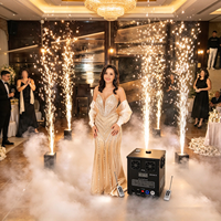 Machine à feux d'artifice à étincelles froides DMX512 avec télécommande sans fil, équipement spécial pour DJ, fêtes, mariages et événements