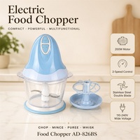 Hachoir à viande électrique haute vitesse - Appareil de cuisine portable en plastique - Moteur en cuivre pur - Faible bruit - Usage domestique - 200W - 0,7L