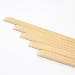 Carry to Go Food for Dinner Use of Tensoge Disposable Bamboo Wood Chopsticks