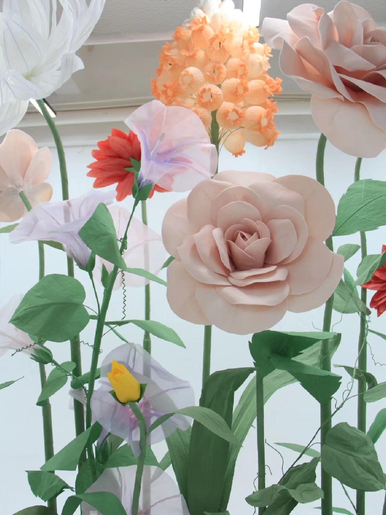 diameter 40cm rose