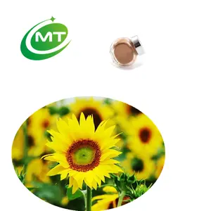 100% alami organik Powder Sunflower Helianthus biji bubuk ekstrak untuk perawatan rambut dan kulit