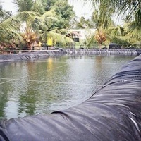 Geomembrana de HDPE, Revestimiento Impermeable, Ahorra Costos en Proyectos, Reduce Fugas y Pérdidas, Bajo Mantenimiento, para Vertederos y Minería