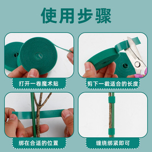 Bandas de sujeción para plantas Kyushu Garden de 10 mm y 15 mm, verdes, para jardinería doméstica y herramientas para bonsáis - Product Image 5