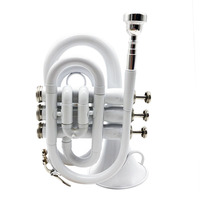 Bb Pocket Trumpet Gold Lacquered Beginner-Friendly Professional Grade Durable High-Quality Brass Instrument