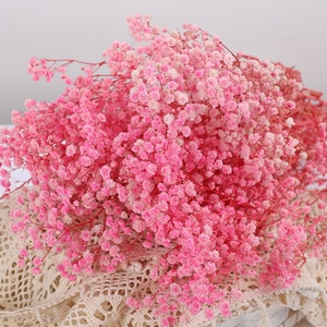Ramo de Gypsophila Seca Preservada, Ramo de Flores Secas para Decoración del Hogar/Boda - Product Image 4