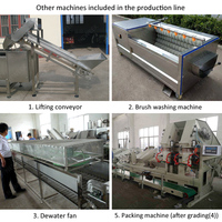 Neweek Papaya Grading Ui Verwerking Lijn Kleine Fruit Aardappel Tomaat Size Sorteren Machine