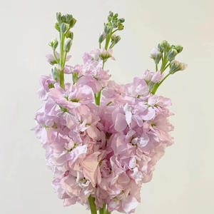 Fábrica al por mayor de alta calidad violeta artificial flor púrpura inventario de seda Decoración de mesa de boda - Product Image 5