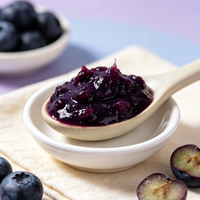 Selai Puree Blueberry Rasa Asli Kaya Rasa dari Pabrik Lotlong untuk Produksi Kue & Minuman Komersial
