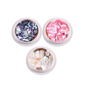 Nail Art Abalone Seashell Slices 3D Aurora Polished Colorful Shell Sequins Ultrathin Shell Decoration Accessories