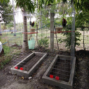 40x40x40 chicken cage/chicken pens and coops/chicken pens