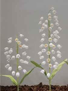 Le décor de mariage le <span class=keywords><strong>lys</strong></span> de la vallée, petit et frais, peut être associé arbitrairement au papier <span class=keywords><strong>géant</strong></span> le <span class=keywords><strong>lys</strong></span> de la vallée, V106 - Product Image 6