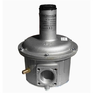 Reductor de presión de gas natural Giulian Anello FG1B25 DN 1B32 1B40 1B50 1B15 1B20 - Product Image 1