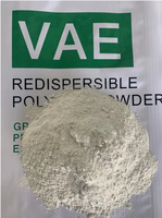 Prix de gros Poudre de polymère redispersible RDP Additifs Poudre d'imperméabilisation du ciment pour le mortier de plâtre