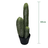 Cactus artificiel réaliste Enhao Dragon Phoenix, en plastique écologique, haute simulation, fausse succulente haute pour le bureau