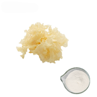 Poudre de Polysaccharide de Tremella Fuciformis Premium 30% - Fournisseur d'Extrait de Champignon