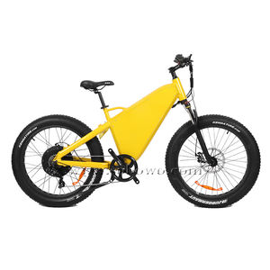 Vélo électrique avec pneus larges, 30 pouces, fournitures d'usine - Product Image 2