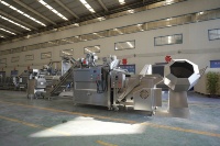 YAZHONG Commerciële voedselverwerkingslijn voor het maken van fruit- en groentechips, friteusteknologie, 200 kg capaciteit voor het maken van snacks