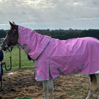 Couverture d'hiver imperméable pour cheval 1200D, couleur violette, rembourrage en polyfill 400g, doublure respirante en polyester, rabat de queue réglable