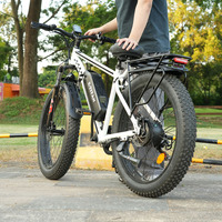 Vélo électrique de ville et de plage confortable à batterie au lithium 48V 15Ah 1000W à longue portée, en alliage d'aluminium, moteur 1000W à propulsion arrière, vente chaude