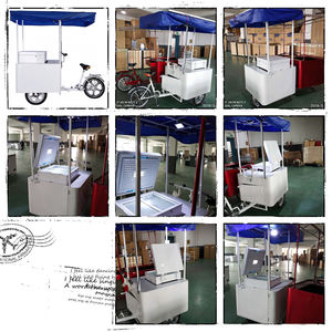 Tricycle électrique à trois roues avec congélateur <span class=keywords><strong>solaire</strong></span>, chariot alimentaire, chariot à café, chariot à jus, chariot à glace, vélo de <span class=keywords><strong>promotion</strong></span> avec panneau <span class=keywords><strong>solaire</strong></span>, batterie gel - Product Image 6