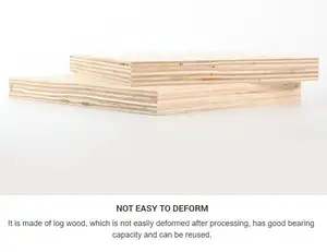 Oem Odm harga grosir pabrik E1 1220*2440 5mm 9mm 12mm papan kayu lapis popler Birch papan kayu lapis