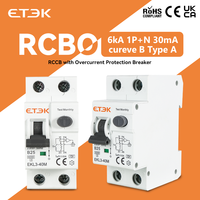 Disjoncteur différentiel électromagnétique ETEK EKL3-40M 6KA 1P+N 16-25A 30mA Type AC avec protection contre les surintensités de 10KA