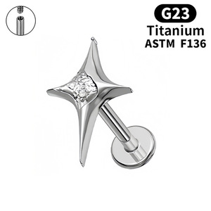 Bông tai thép titan bán buôn, bông tai nữ, trang sức hip hop rock, khuyên tai, trang sức titan G23, khuyên tai <span class=keywords><strong>Helix</strong></span> - Product Image 2