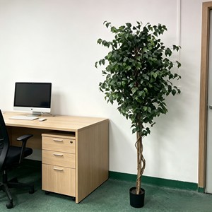 Artificial Ficus Pandurata Plants-Factory Direct for Indoor/Outdoor Decoration - Product Image 6