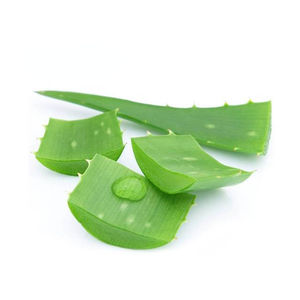 เจลว่านหางจระเข้ธรรมชาติบริสุทธิ์100% สารสกัดจากว่านหางจระเข้ - Product Image 5