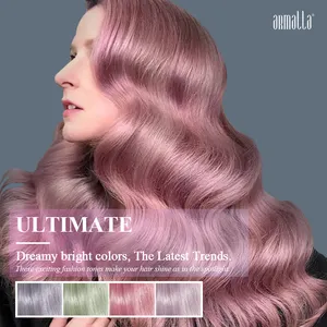 Armalla-صبغة شعر دائمة, تأثير طويل الأمد 66 لون رمادي لتغطية الشعر من دون الأمونيا لصالون التجميل صبغة شعر دائمة