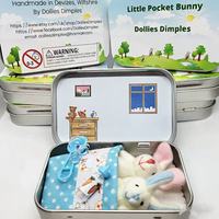 Nuevo conejo de peluche transfronterizo con bolsillo, caja de hierro, regalo de Pascua, juguete de peluche para niños, regalo para fiestas, venta al por mayor, regalo de mano, juguete de peluche de conejo