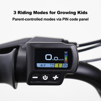 Motocicleta Eléctrica de Cross para Niños TXED, con Motor de Cubo Trasero de 180 W, 2 Ruedas, 3 Velocidades y Batería de Litio de 24 V