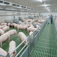 Bodenbelag für Schweinefarmen, Betonbodenroste für Schweine, Gusseisenroste, Beton-Schweineroste, Kunststoffschweineboden, Ferkelboden