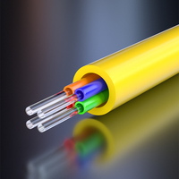 Customized 8 12 24 48 Fibers OS2 Single Mode LC SC FC LSH Indoor Tight Buffered Multi Fiber Breakout Cable CE ROHS CPR Cca B2ca