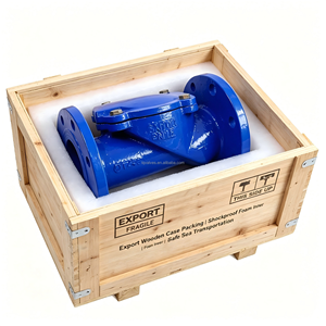Valvola di ritegno in ghisa sferoidale GGG50 QT450 PN16 flangiata con rivestimento epossidico blu per tubazioni di approvvigionamento idrico e irrigazione - Product Image 6