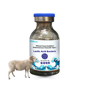 Vitboo Probióticos en Polvo para Pescado, Camarón, Complejo Probiótico para Animales Acuáticos, <span class=keywords><strong>Lactobacillus</strong></span> Powder - Product Image 1